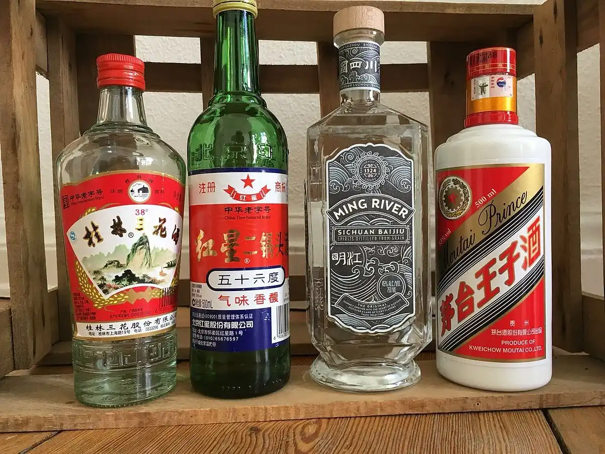 酒单封面