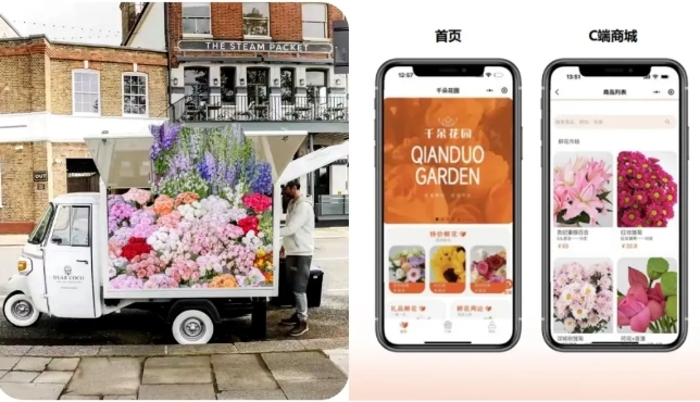 Zion 无代码应用开发平台