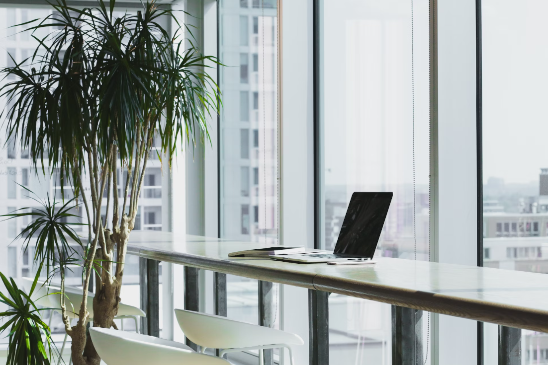 Zion 无代码应用开发平台