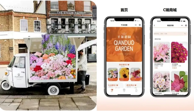 Zion 无代码应用开发平台